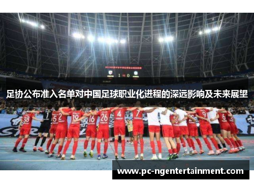 足协公布准入名单对中国足球职业化进程的深远影响及未来展望