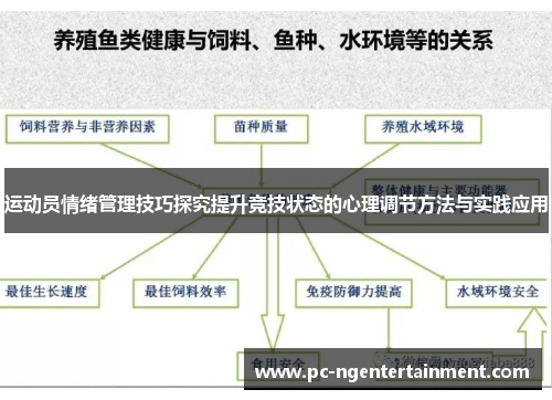 运动员情绪管理技巧探究提升竞技状态的心理调节方法与实践应用 运动员情绪管理技巧探究提升竞技状态的心理调节方法与实践应用