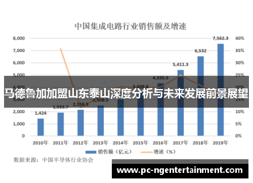 马德鲁加加盟山东泰山深度分析与未来发展前景展望 马德鲁加加盟山东泰山深度分析与未来发展前景展望